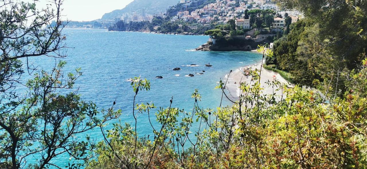 Vue magnifique avec piscine privée et sauna à 10min de Monaco Rocabruna Exterior foto